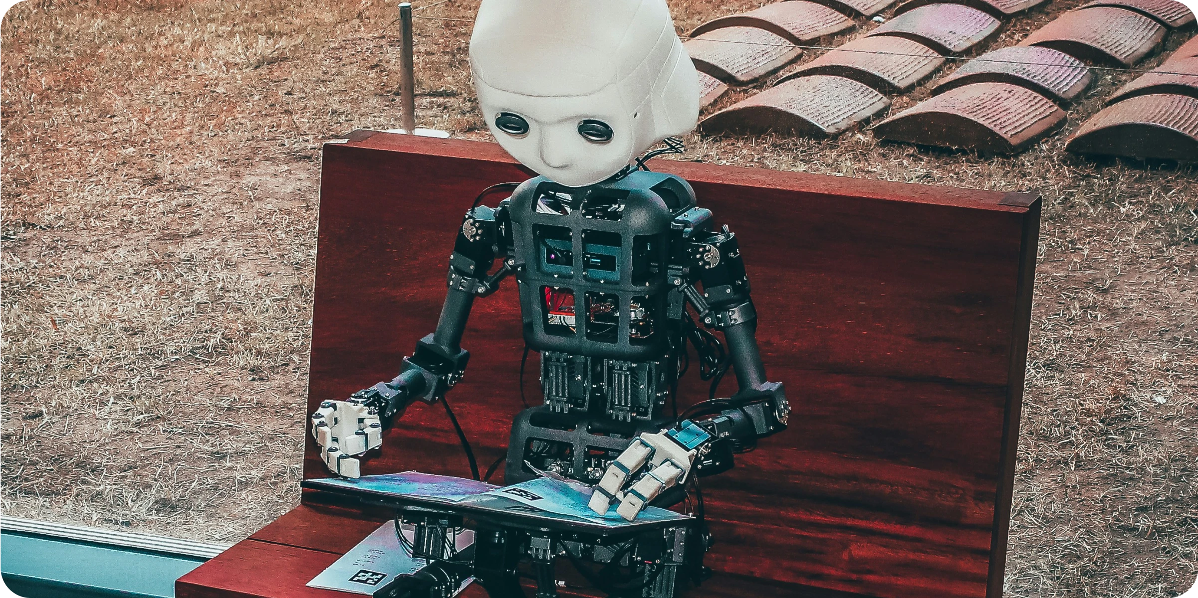 article banner image